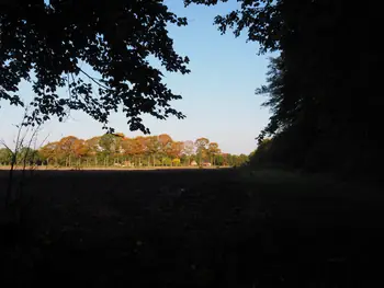 Vagevuurbos an Lippensgoed-Bulskampveld (Belgium)